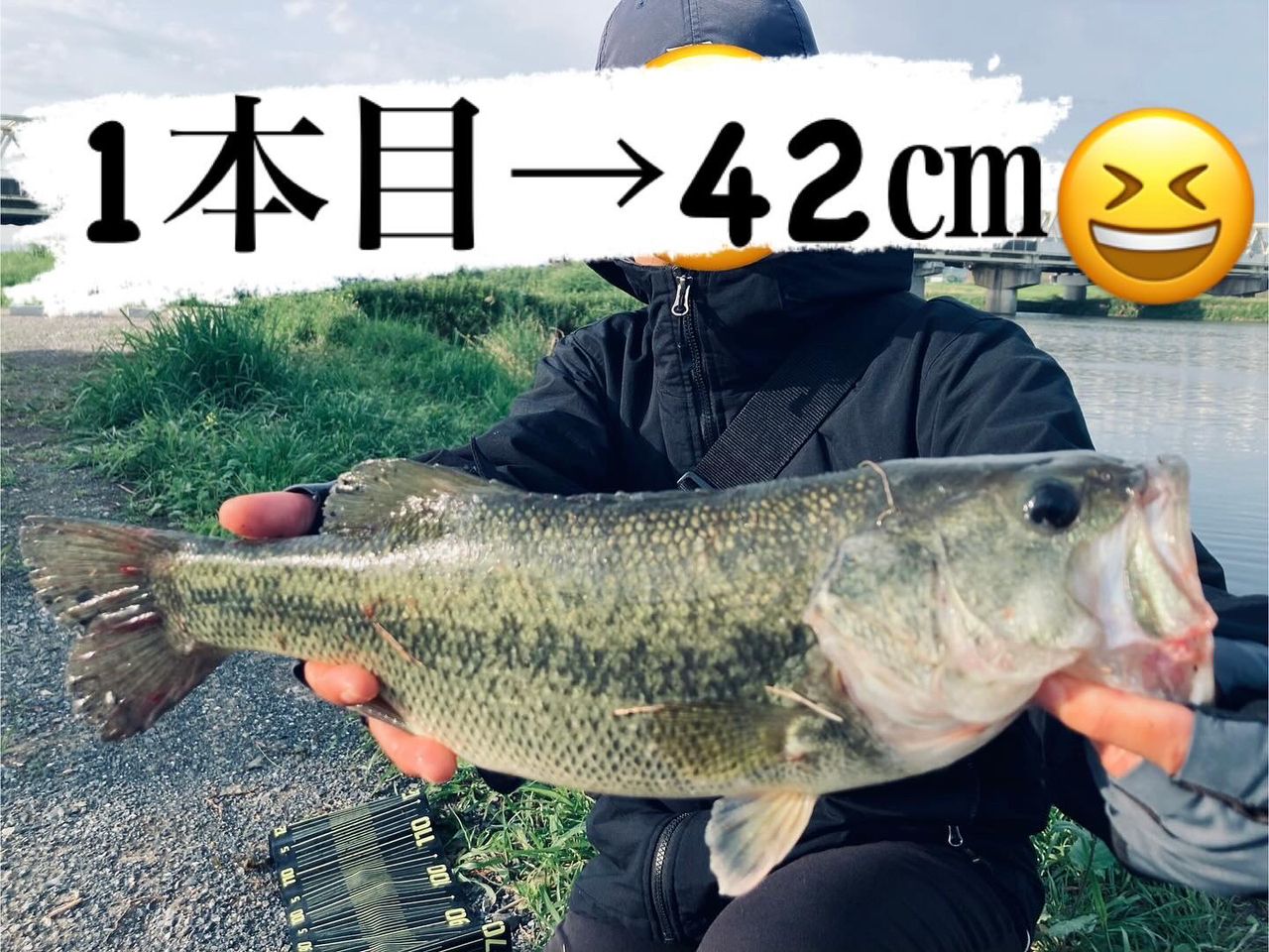 ブラックバス