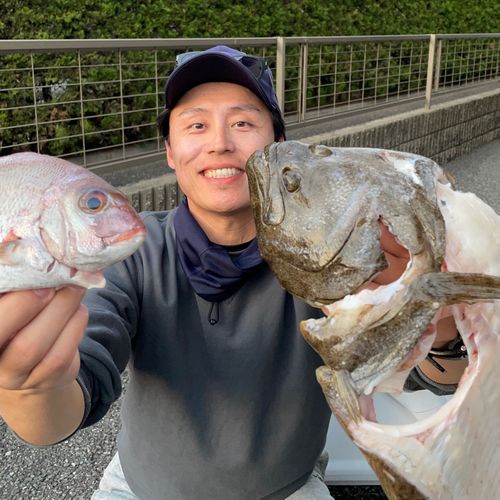 チャリコの釣果