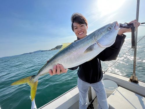 ブリの釣果