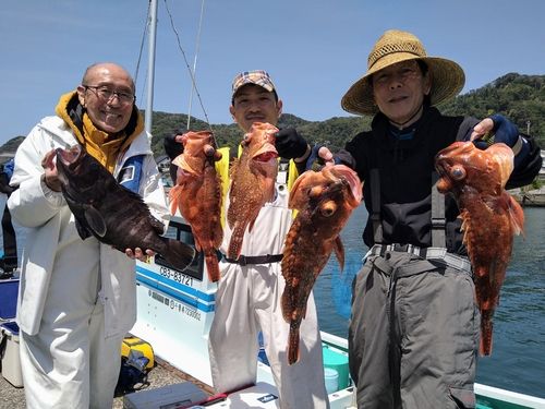 ウッカリカサゴの釣果