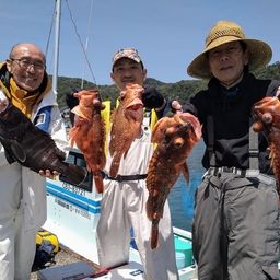 ウッカリカサゴ