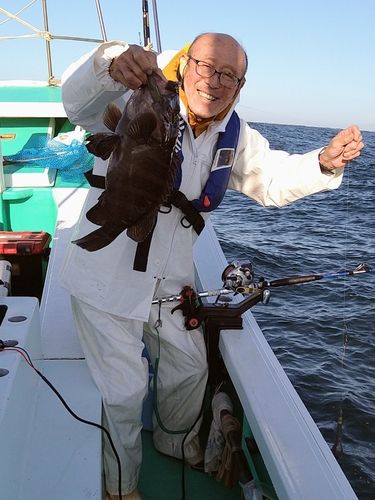 海釣り用さお DAIWA 621-39A（淡路島で釣れたカワハギの釣り