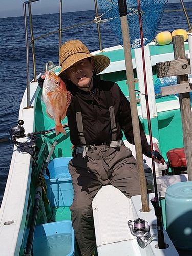 キダイの釣果
