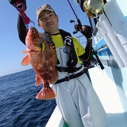 ウッカリカサゴ