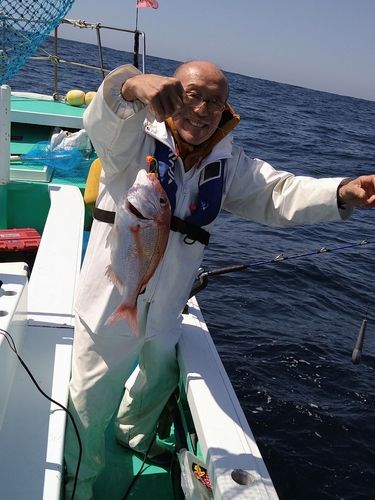 キダイの釣果