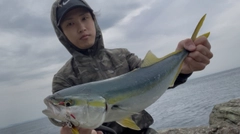 ヤズの釣果