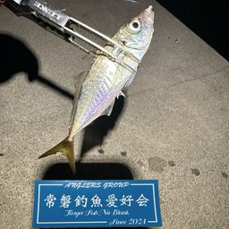 アジ