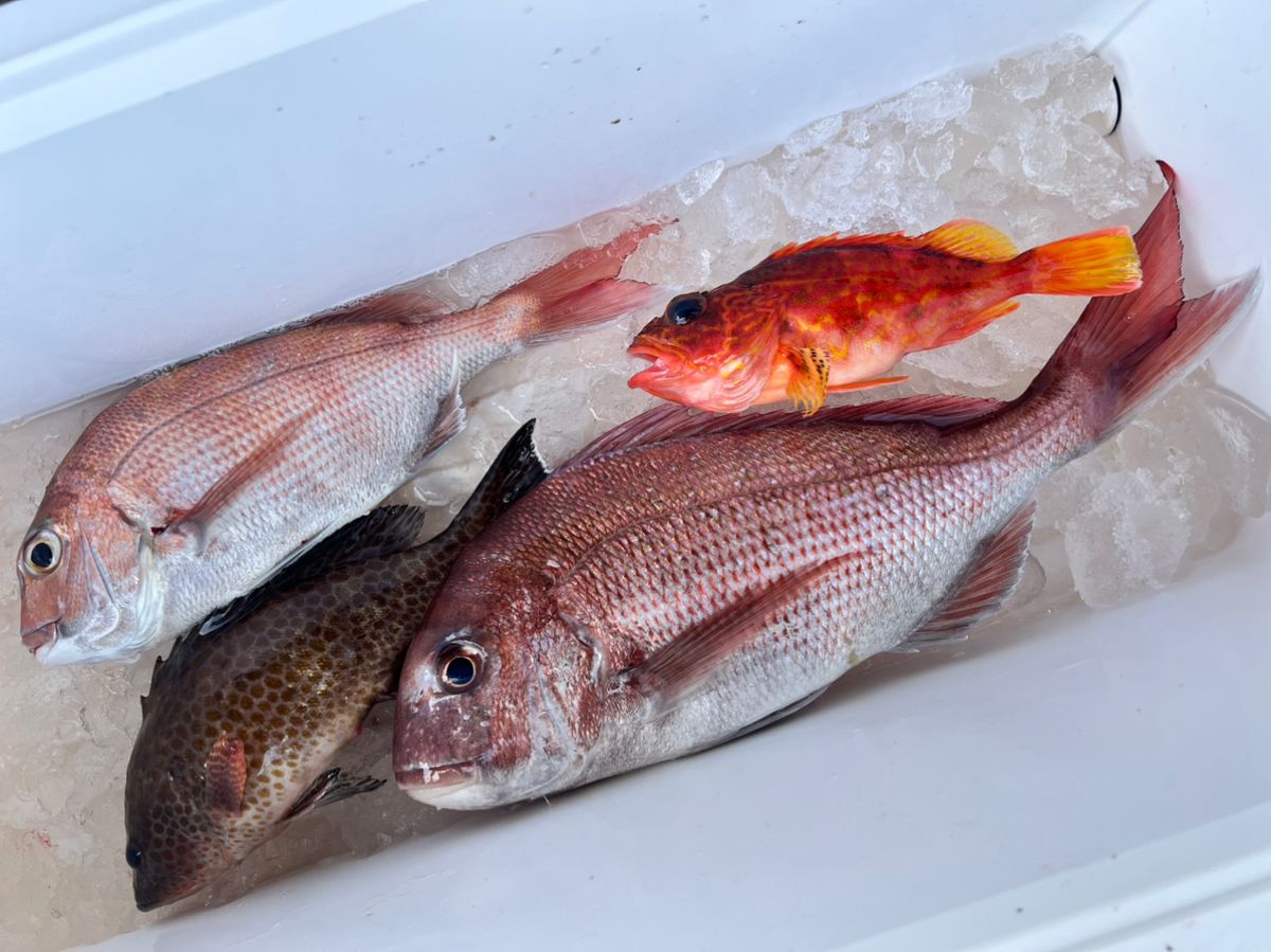 fuku_wildworksさんの釣果 1枚目の画像