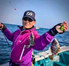 カワハギの釣果