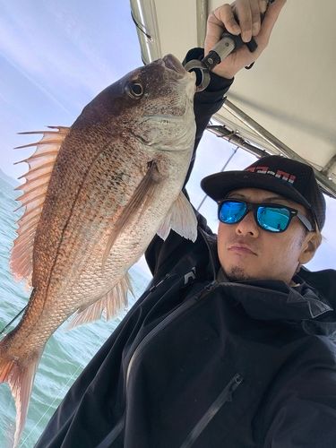 タイの釣果
