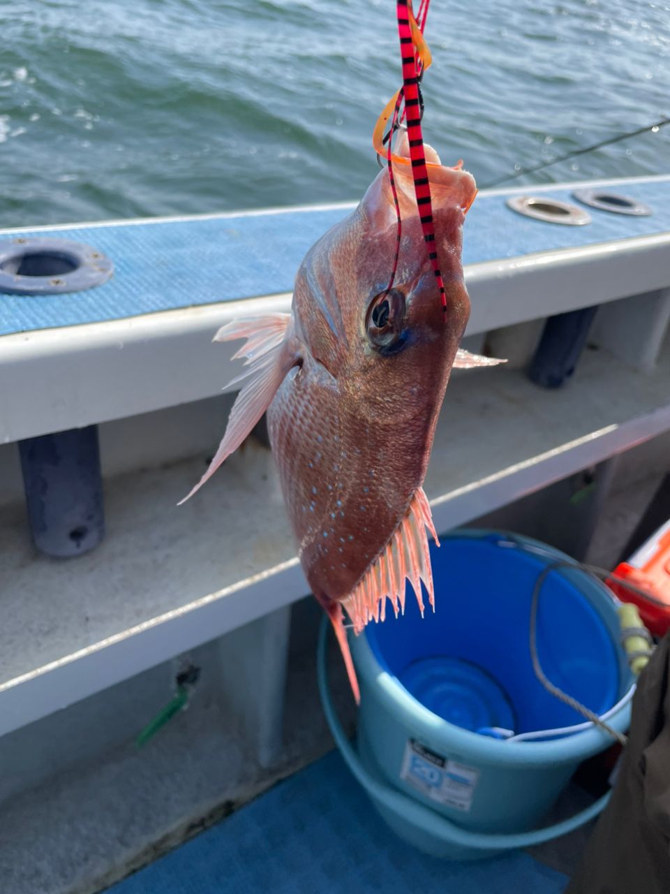ジギング見習いさんの釣果 3枚目の画像
