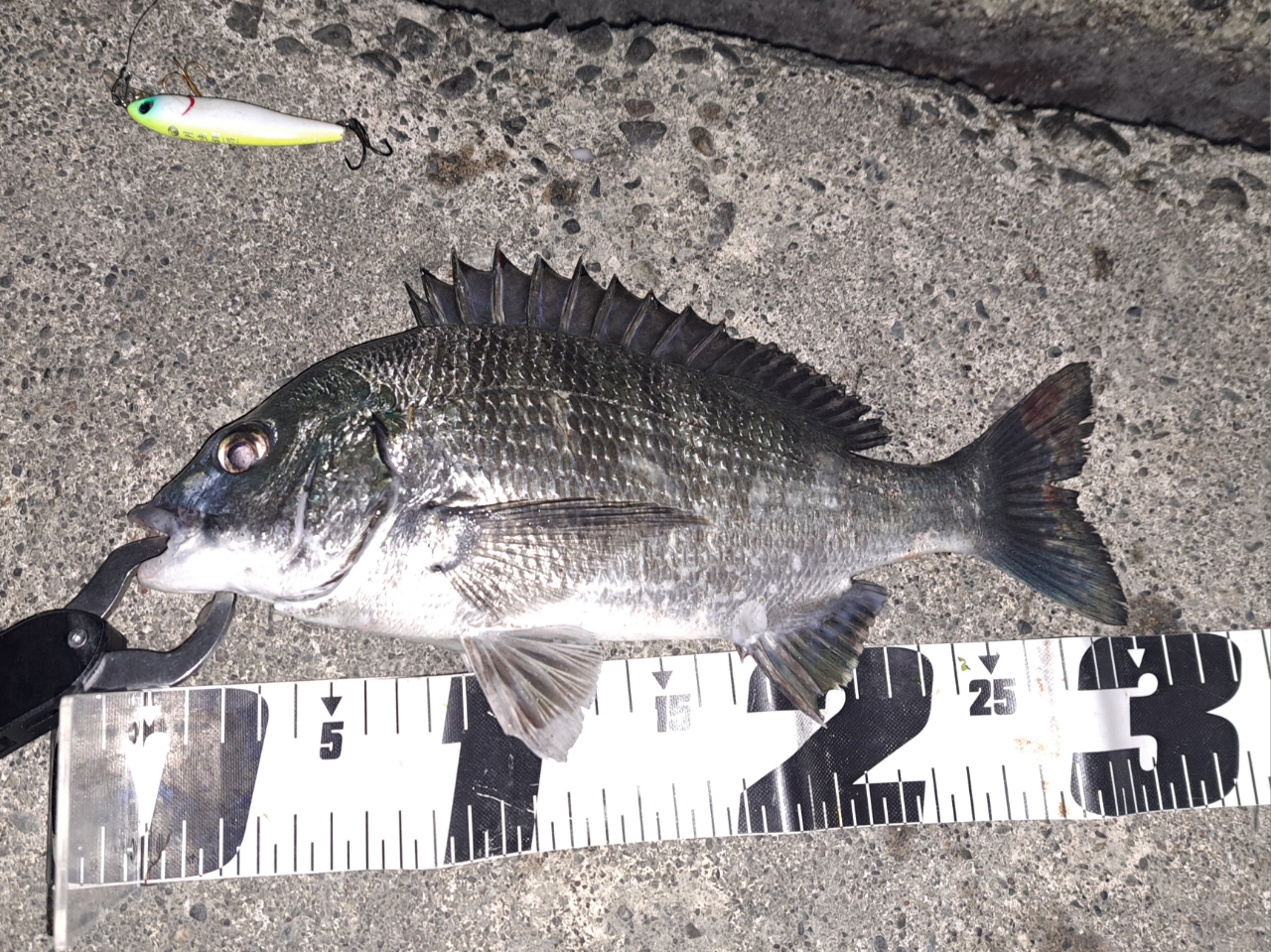 シマノ】 20ルナミス S96ML SHIMANO LUNAMIS シーバス チヌ