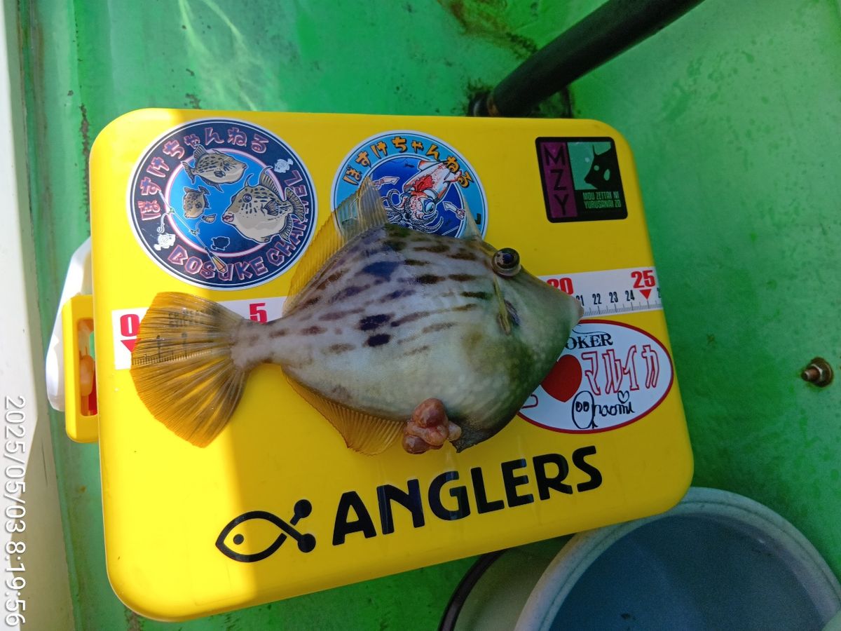 にゃんすけさんの釣果 2枚目の画像