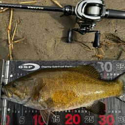 スモールマウスバス