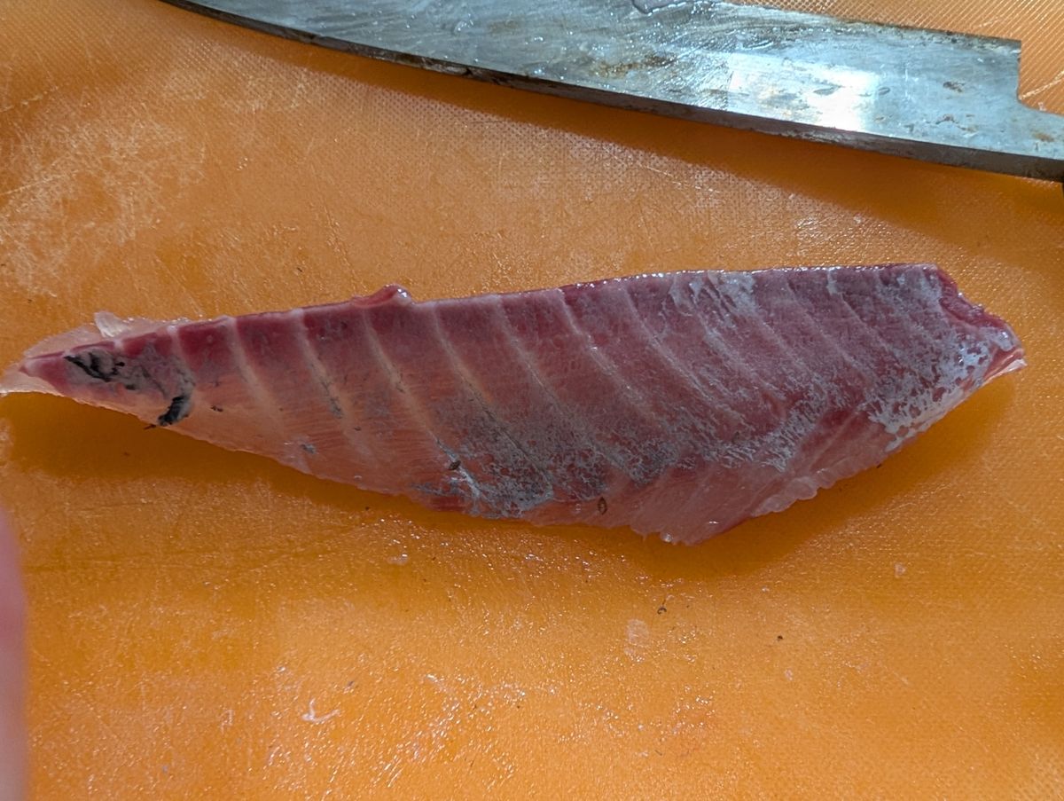 リリースサイズさんの釣果 3枚目の画像