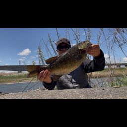 スモールマウスバス