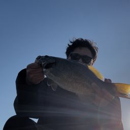 スモールマウスバス