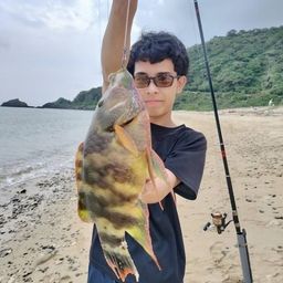 ミツバモチノウオ
