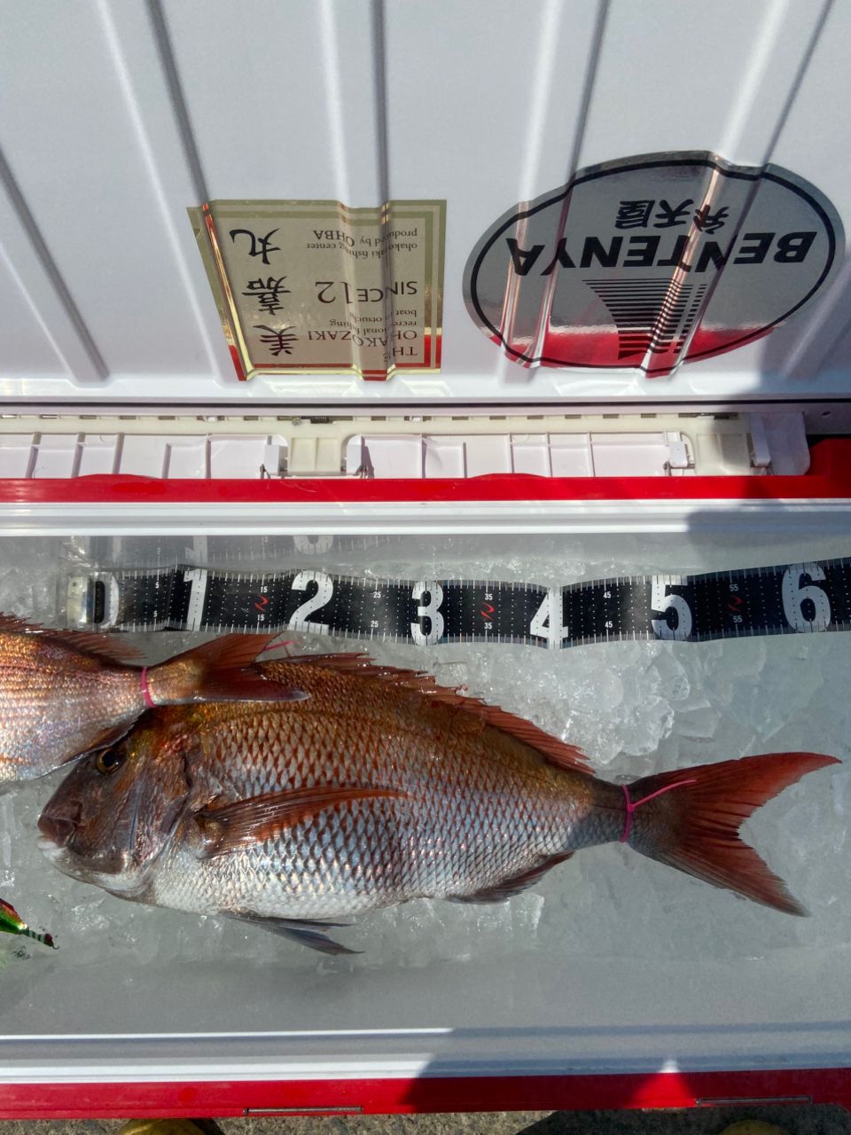 小田島塁さんの釣果 2枚目の画像