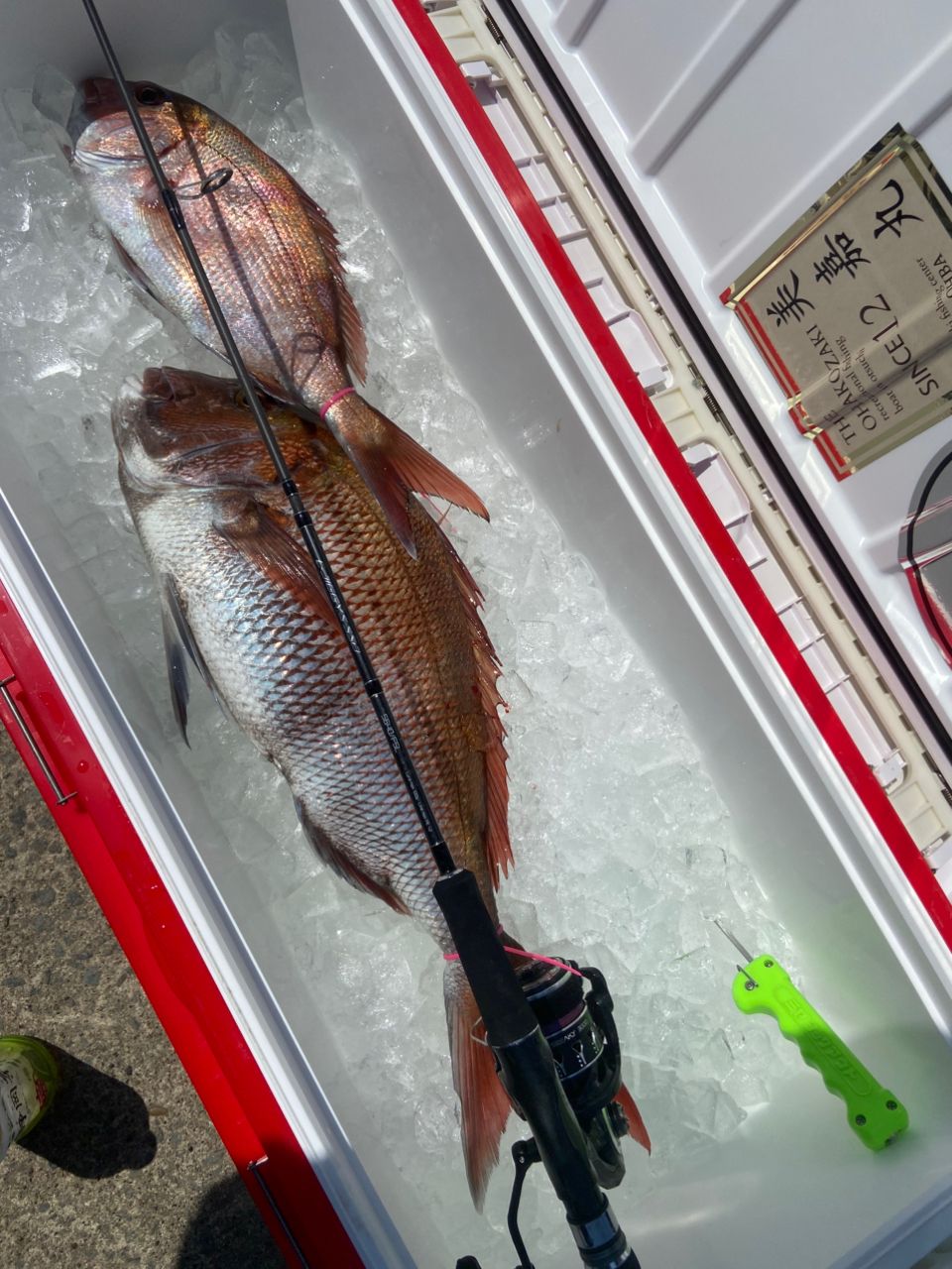 小田島塁さんの釣果 3枚目の画像