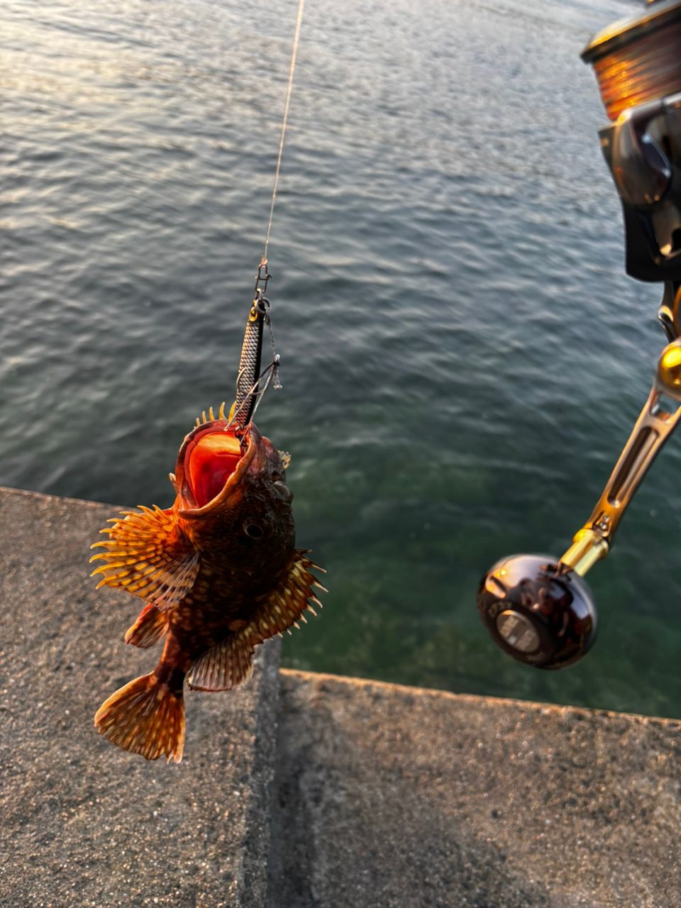 Gamakatsu ラグゼ チータ R3 100MHの最安値・インプレ・釣果 | 本音の