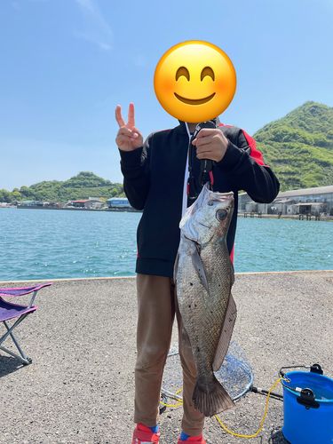 釣果