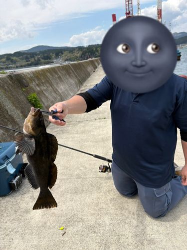 アイナメの釣果