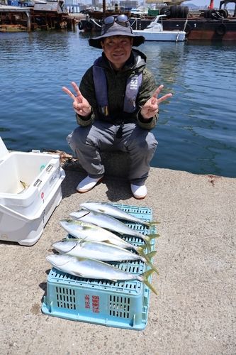ハマチの釣果