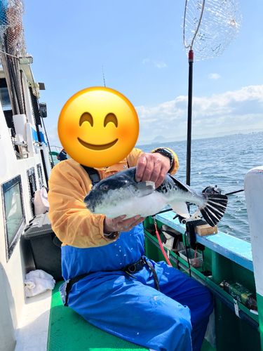 トラフグの釣果