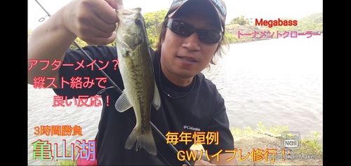 ブラックバスの釣果