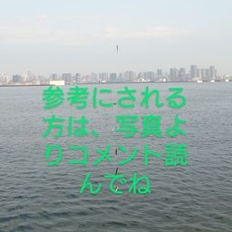 カタクチイワシ