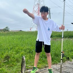 アメリカナマズ