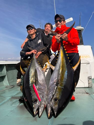 キハダマグロの釣果
