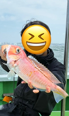 アカアマダイの釣果