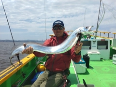 タチウオの釣果