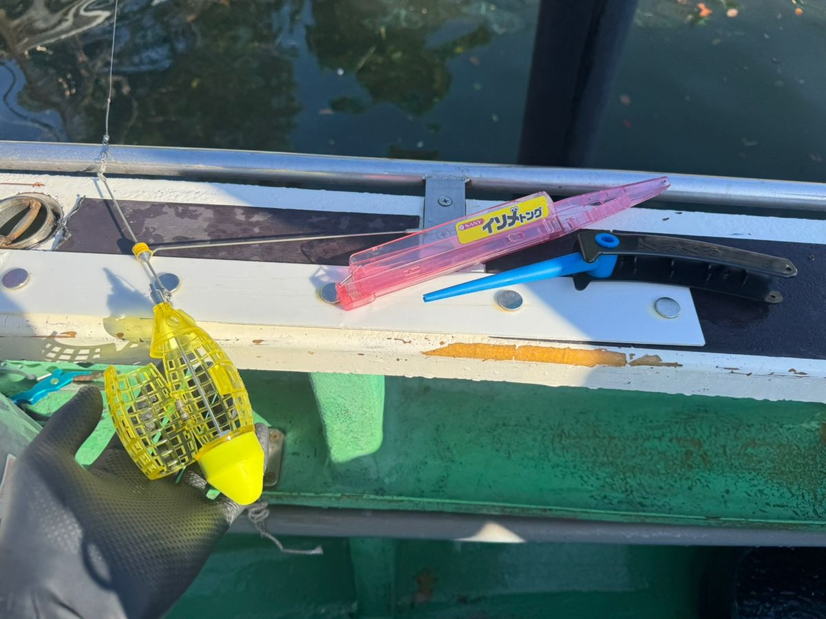 shizuシズさんの釣果 2枚目の画像