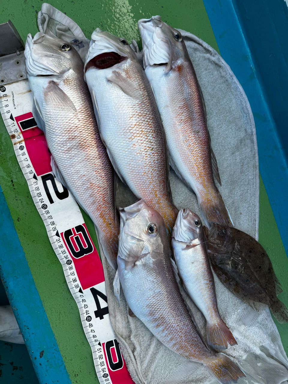 清和丸さんの釣果 3枚目の画像