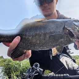 スモールマウスバス
