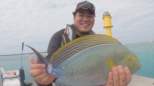 トカジャーの釣果