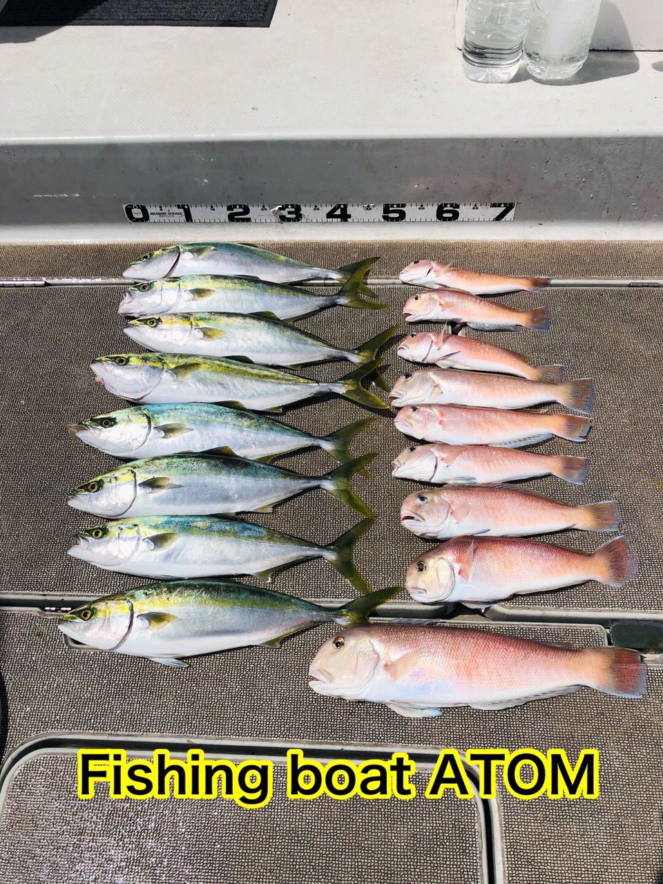 fishingboat.atomさんの釣果 2枚目の画像
