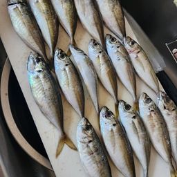 アジ