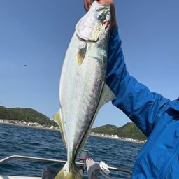 イナダ