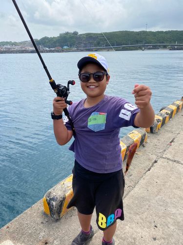 オジサンの釣果