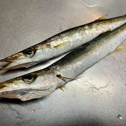 カマス