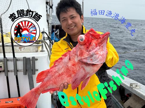 アコウダイの釣果