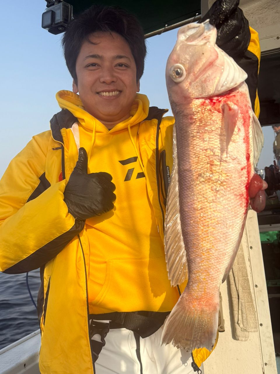 シロアマダイ