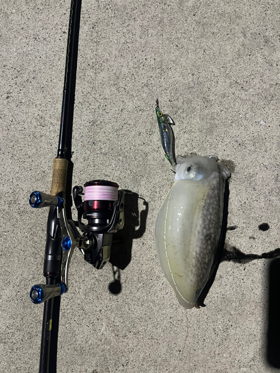 SHIMANO 20セフィア エクスチューン S92ML+の最安値・インプレ