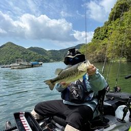 ブラックバス