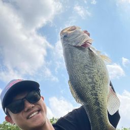 ラージマウスバス