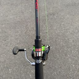 セイゴ（マルスズキ）